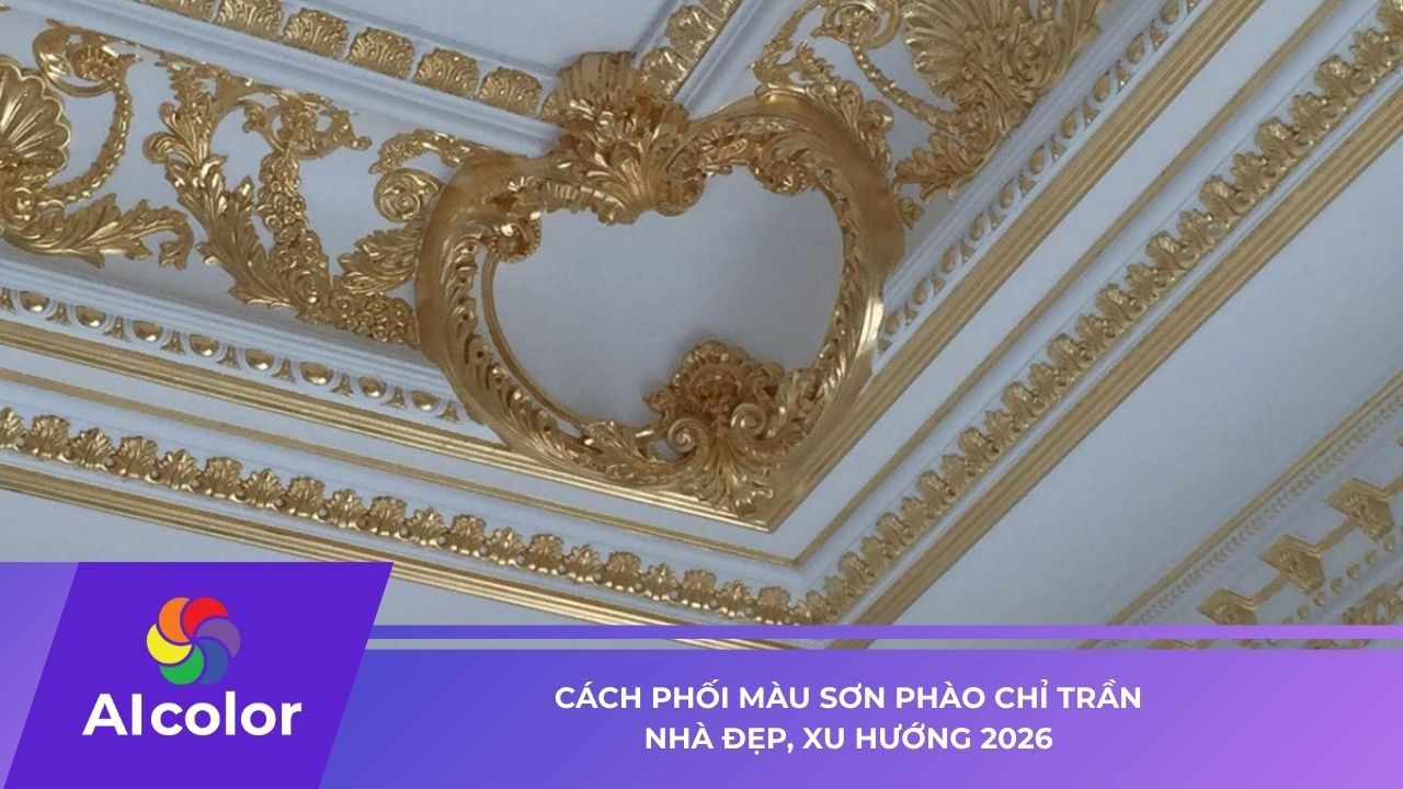 Cách phối màu sơn phào chỉ trần nhà đẹp, xu hướng 2026
