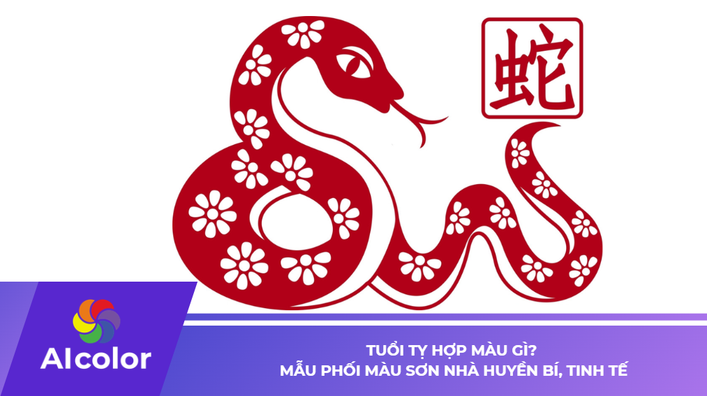 Tuổi Tỵ hợp màu gì? Mẫu phối màu sơn nhà huyền bí, tinh tế