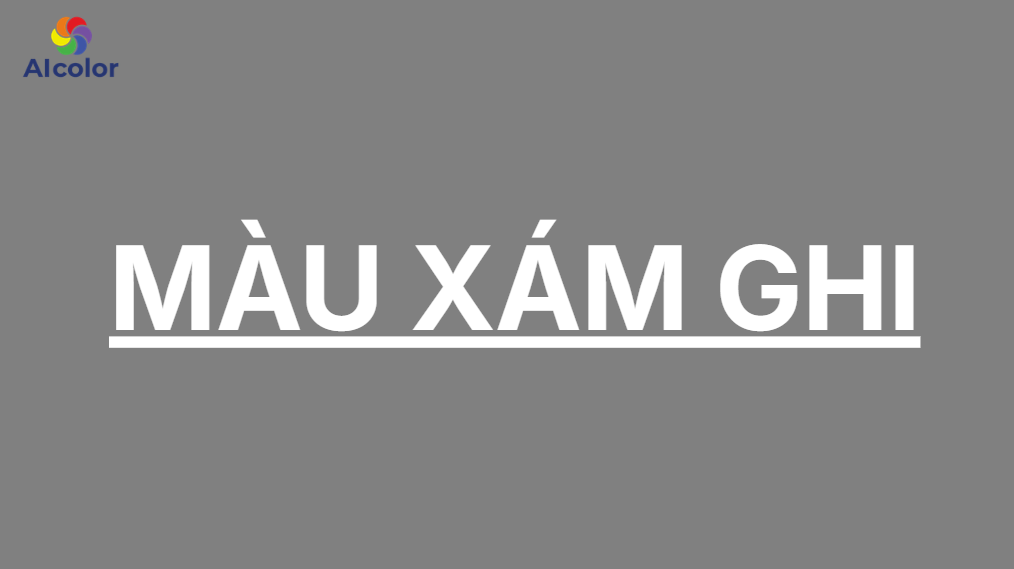 Sơn nh&agrave; m&agrave;u x&aacute;m ghi đang rất được ưa chuộng hiện nay